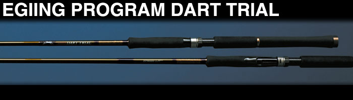 EGIING PROGRAM DART TRIAL