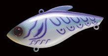 100 Purple Threadfin