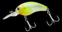 220 Lemon Pearl Shad